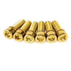 VIS DE POTENCE SALT SOLID OR (X6)